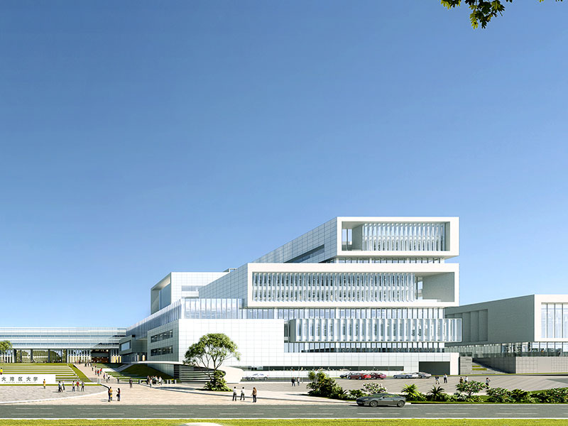 大湾区大学